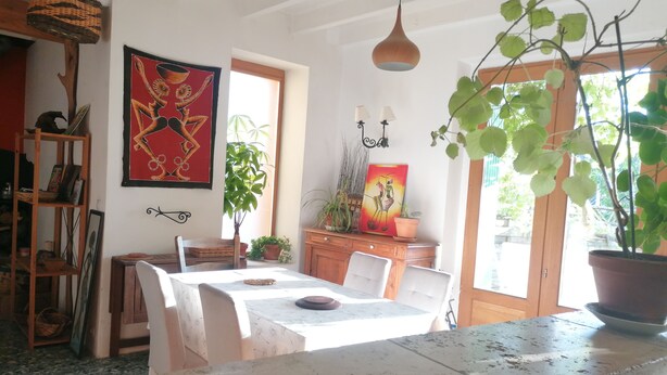 Un comedor con una mesa, sillas, una lámpara colgante y plantas en macetas.