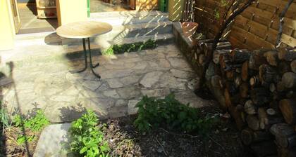 Chaleur des bois du Quercy maison naturellement fraßche et écologique