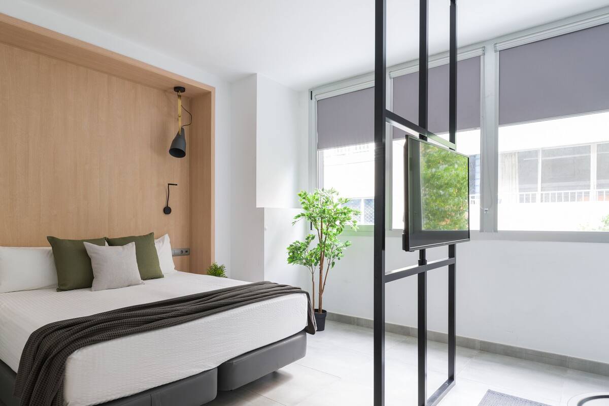 A modern bedroom with a bed, a TV, a small table with a plant, and a window with blinds.