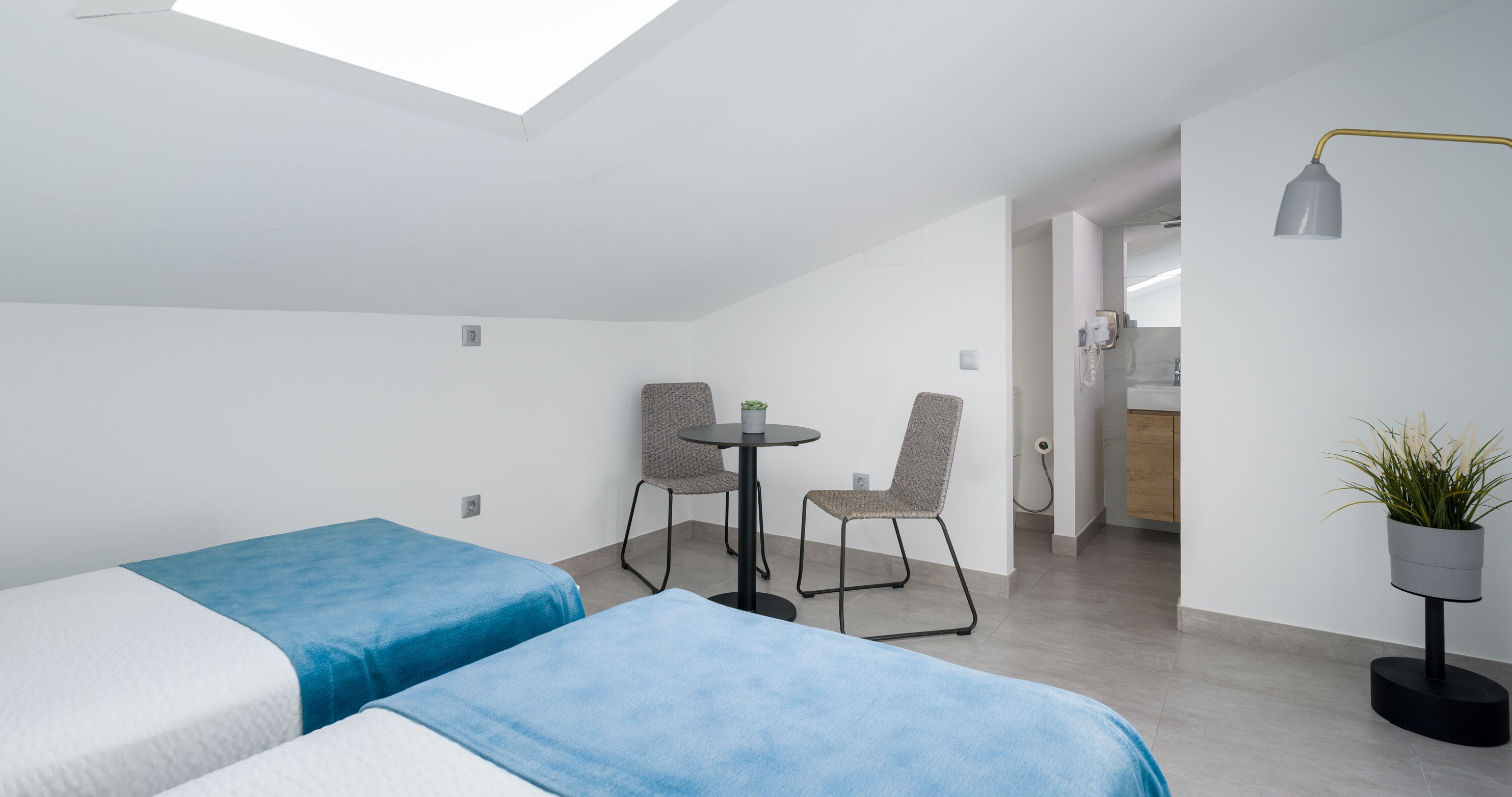 A modern, well-lit room with two beds, a small table, two chairs, a potted plant, and a skylight.
