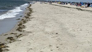Een breed zandstrand met golven die zachtjes op de kust komen.