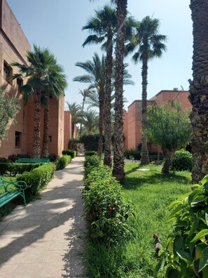 Property grounds - Casayou Riad (Marrakech)