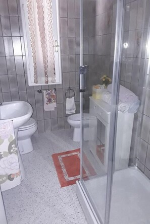 Dusche, Haartrockner, Bidet, Handtücher