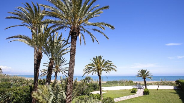 A coastal landscape with palm trees and a clear view of the sea. - 030 Villa Marines (Denia)