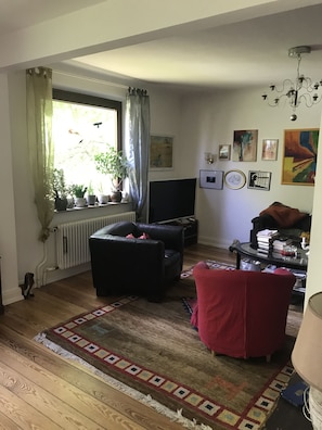Smart TV, DVD player, books, music library