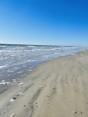 On the beach, beach towels - Newly Updated Resort Ocean Front Condo in Diamond Beach! (wildwood crest)