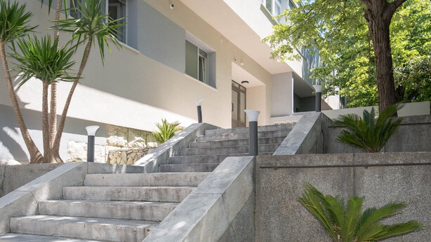 A set of concrete stairs leading up to a building entrance, surrounded by palm trees and a small garden area. - Bosket Luxury Rooms (Split)