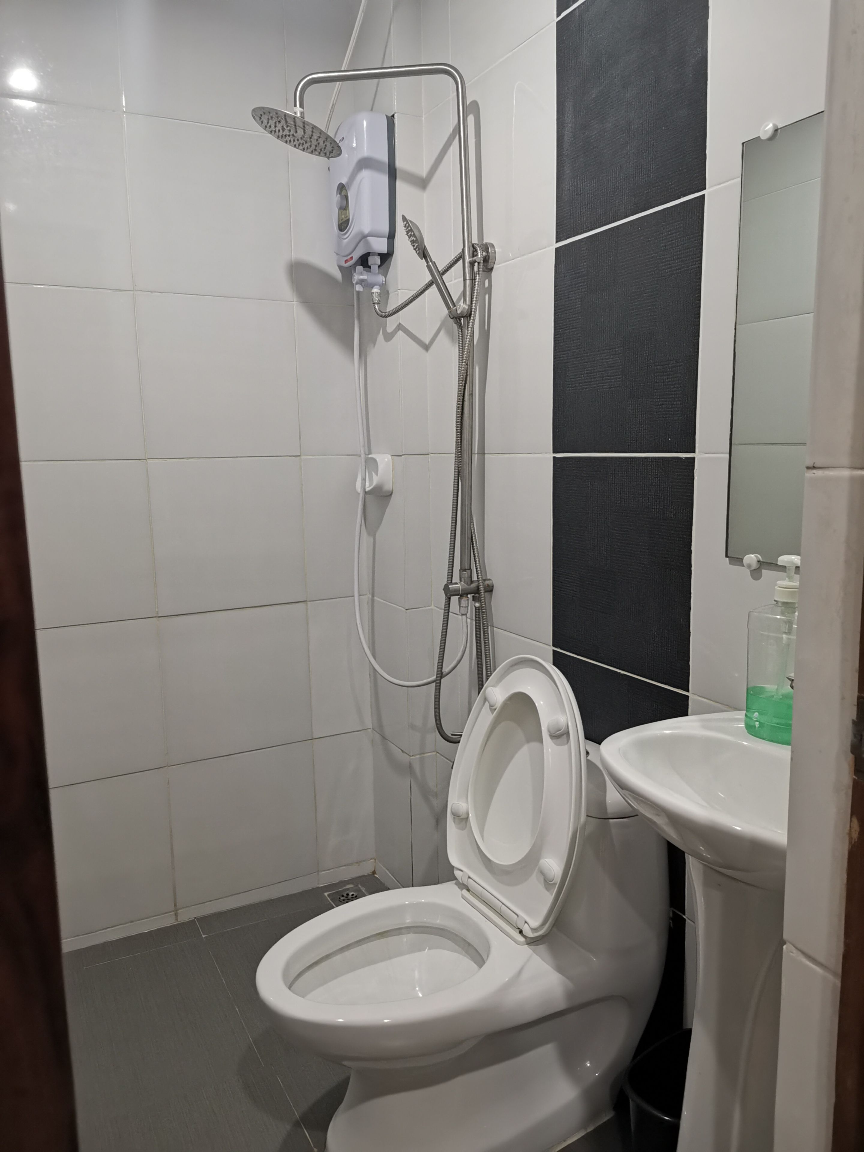Une salle de bain avec des toilettes blanches, une douche équipée d’un pommeau de douche amovible et un lavabo avec un distributeur de savon.