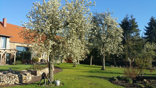 The village island - Apartment Dönz