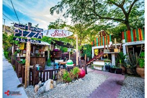 Property grounds - Casita Chulita/Studio downtown Cabo (Cabo San Lucas)