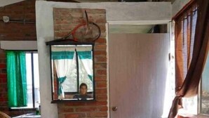 A room with a brick wall, a wooden door, a window with green curtains, a potted plant, a striped sofa, and a chair.