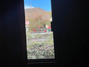 Interior - Casa De Las Olas - House Downtown Cabo (Cabo San Lucas)