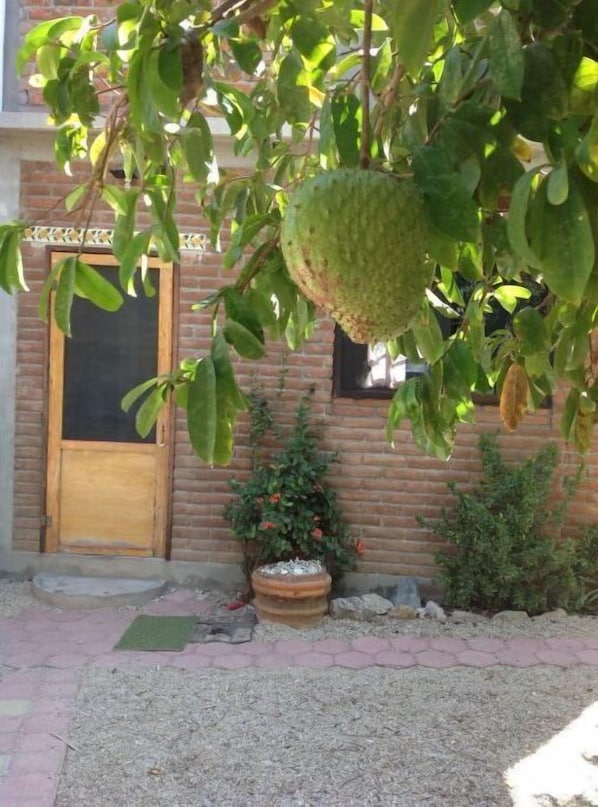 A building with a wooden door and a brick wall. There is a potted plant with red flowers and a small bush.