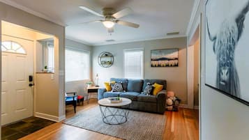 Smart TV, fireplace, books
