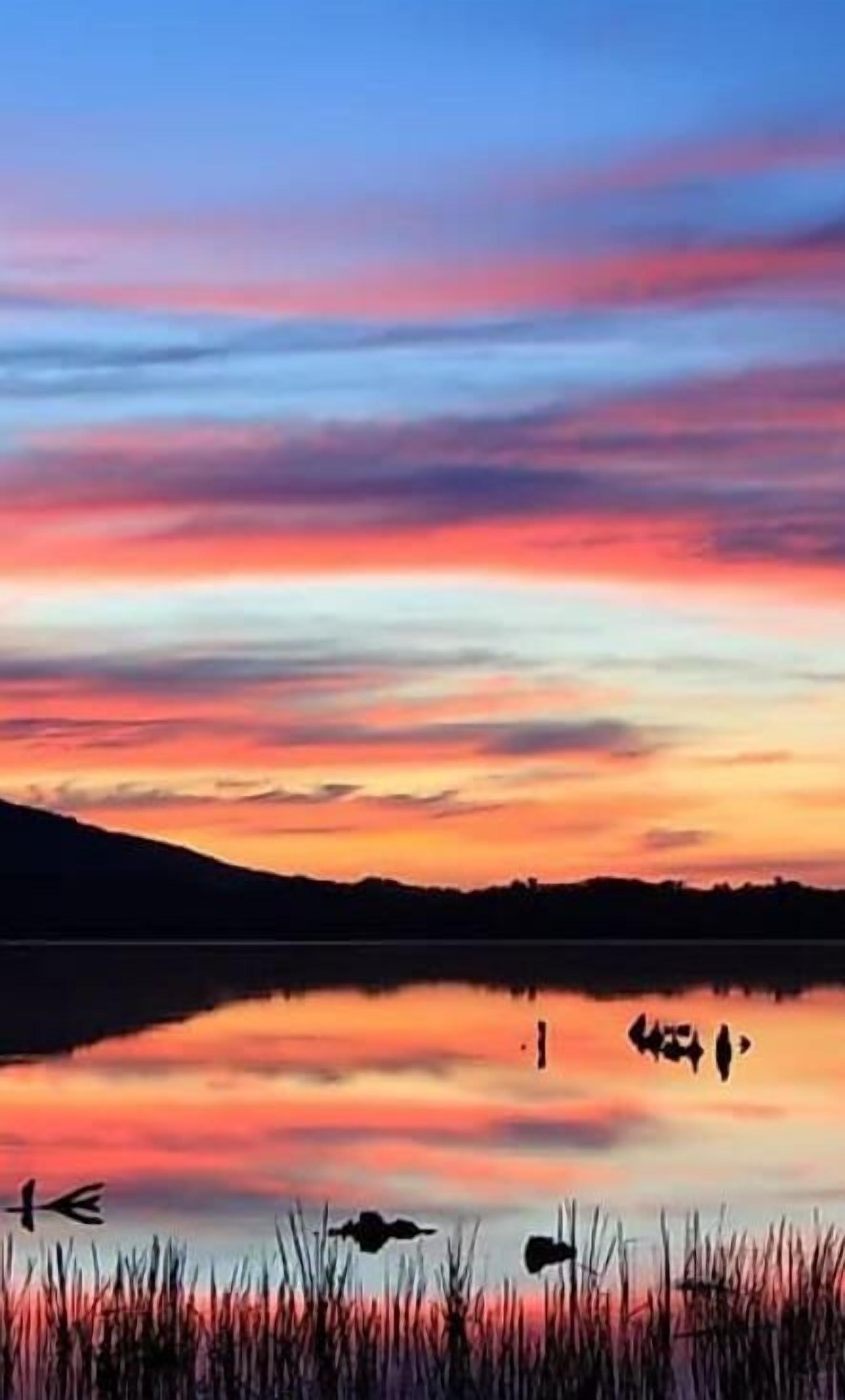 Locust Lake - a serene 120-acre lake surrounded by forests and hills, located just 10 mins from your vacation rental. Enjoy fishing, boating, swimming, and hiking. Known for its family-friendly atmosphere and cabins along the shore. Escape to nature at Locust Lake!