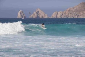 Miscellaneous - The Sunflower House, Downtown Cabo (Cabo San Lucas)