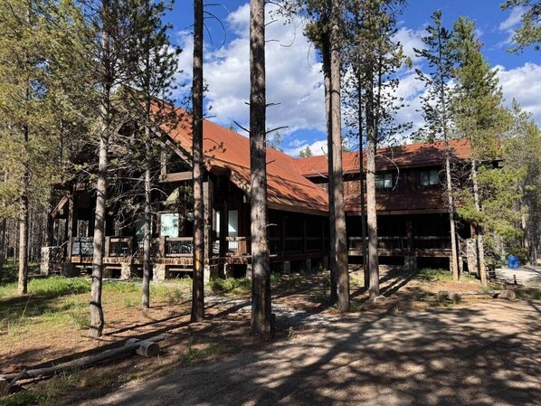 A rustic cabin with a red roof, surrounded by tall pine trees.