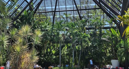 5 Star Vidanta Resort