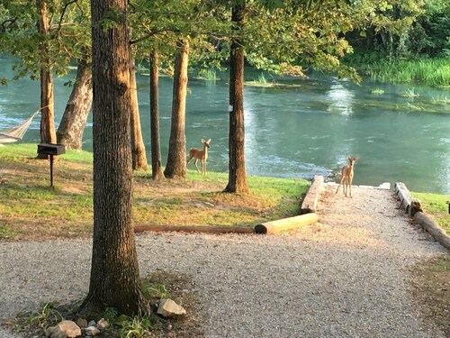 Mammoth Spring Retreat. Gated for privacy, Five cabins, one price. On the River