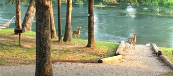 Mammoth Spring Retreat. Gated for privacy, Five cabins, one price. On the River
