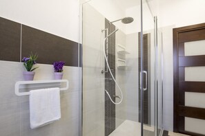 Shower, hair dryer, bidet, towels