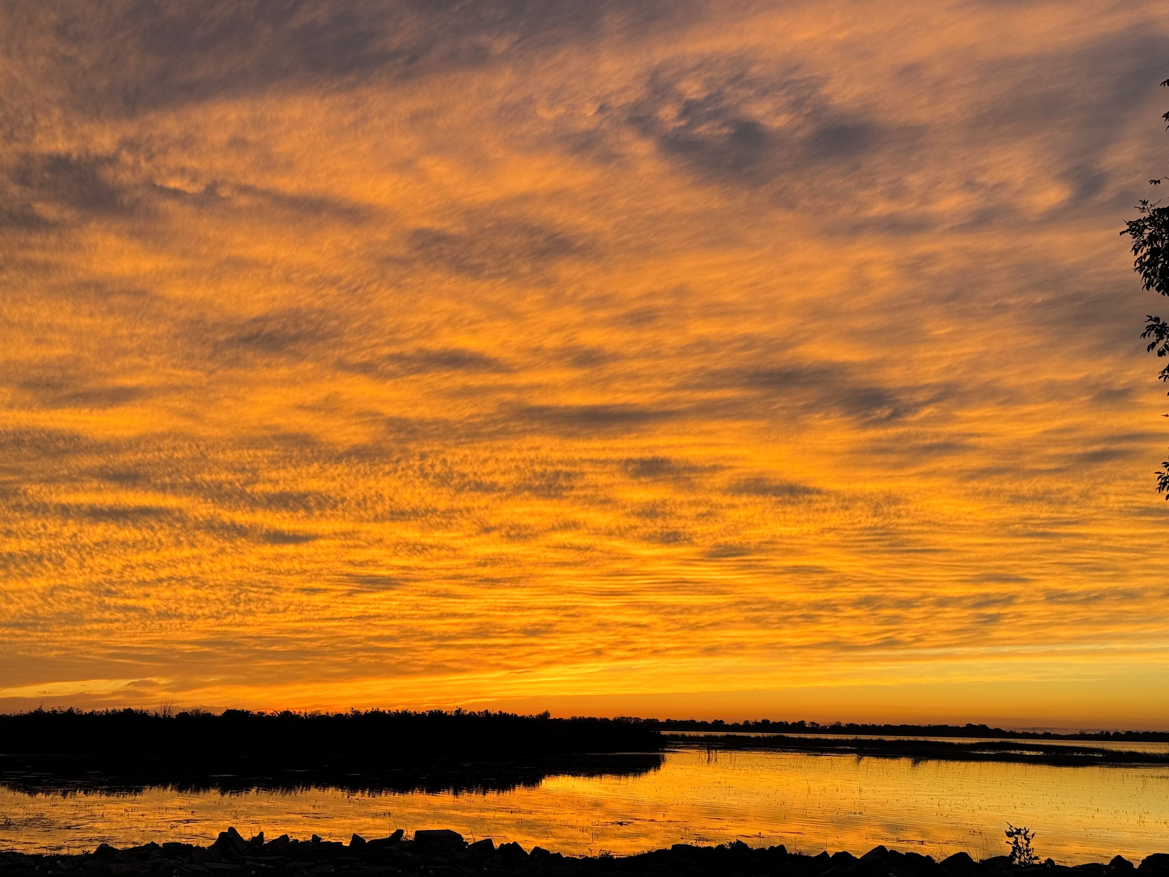Ein Sonnenuntergang über ruhigem Wasser, im Vordergrund die Silhouette von Bäumen und Felsen.