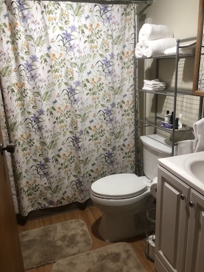Combined shower/tub, hair dryer, towels, soap - PEACEFUL HAVEN IN PARK LIKE SETTING (Coeur d'Alene)