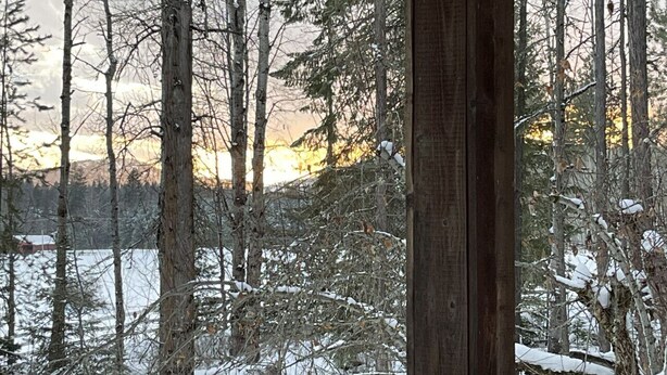 A wooden cabin with a large window overlooking a snowy forest. - The Little House in the woods (Sagle)
