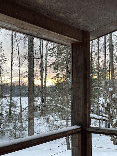 The Little House in the woods