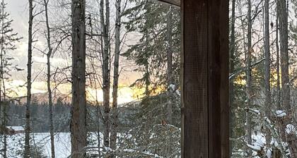 The Little House in the woods