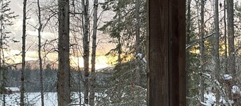 The Little House in the woods