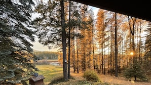 A forested area with a wooden structure, possibly a cabin or shed, surrounded by tall trees and a grassy field. - The Little House in the woods (Sagle)