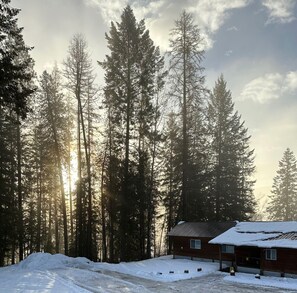 Exterior - The Little House in the woods (Sagle)