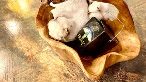 A wooden bowl containing cotton balls and a box labeled "Firstly."