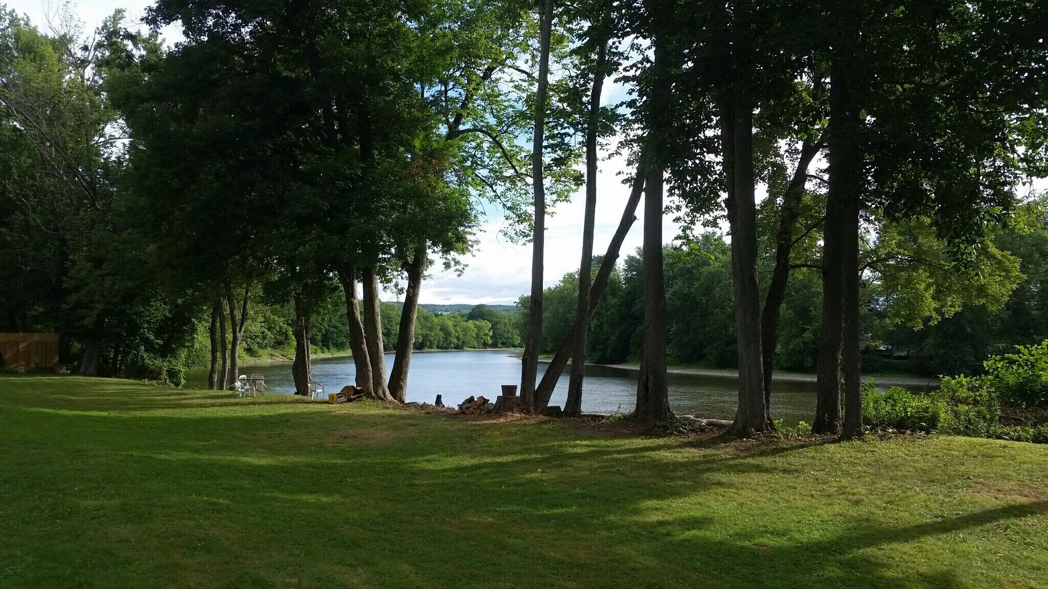 A serene lakeside setting with tall trees, a grassy area, and a calm body of water.