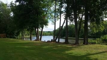 A serene lakeside setting with tall trees, a grassy area, and a calm body of water.