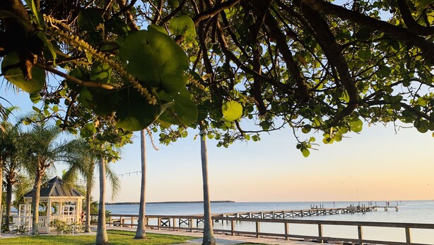 A park with a gazebo, palm trees, and a pier extending into the water.