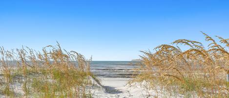 Playa en los alrededores