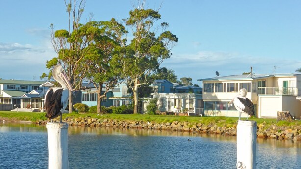 A waterfront property with a row of houses, a body of water, and two birds perched on posts.