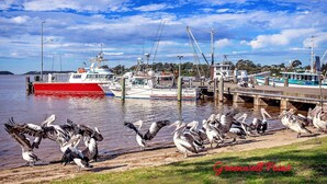 A marina with boats docked, a pier, and a flock of pelicans on the shore.
