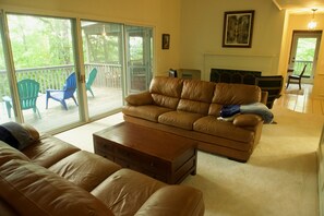 Smart TV, fireplace, DVD player, books