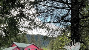 A red cabin with a gravel driveway and a tree with a carved number sign. - Resurrection Peaks Lodge.  Upper unit sleeps 6, private lot and close to town. (Seward)