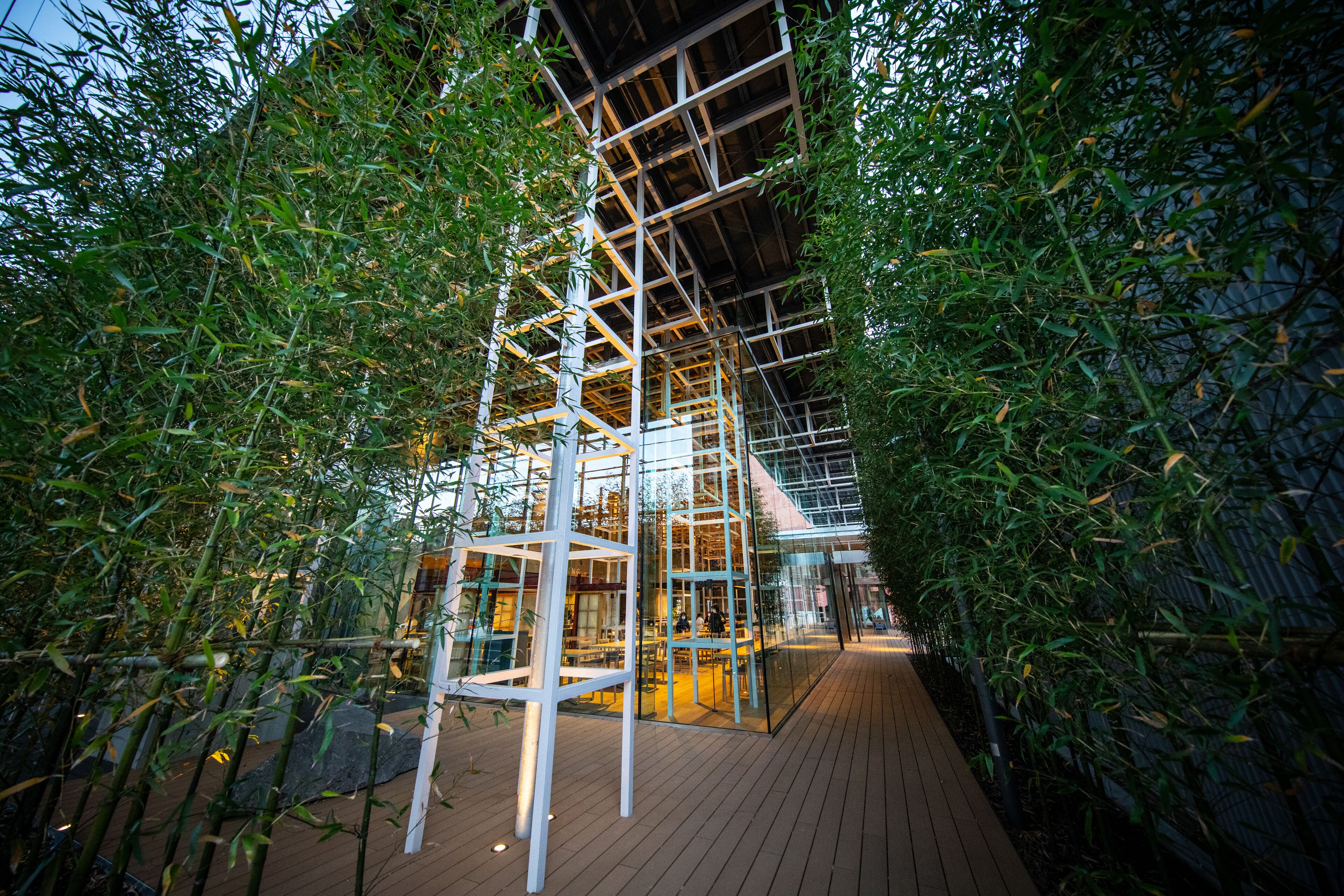 A modern building with a wooden deck and glass walls surrounded by bamboo.