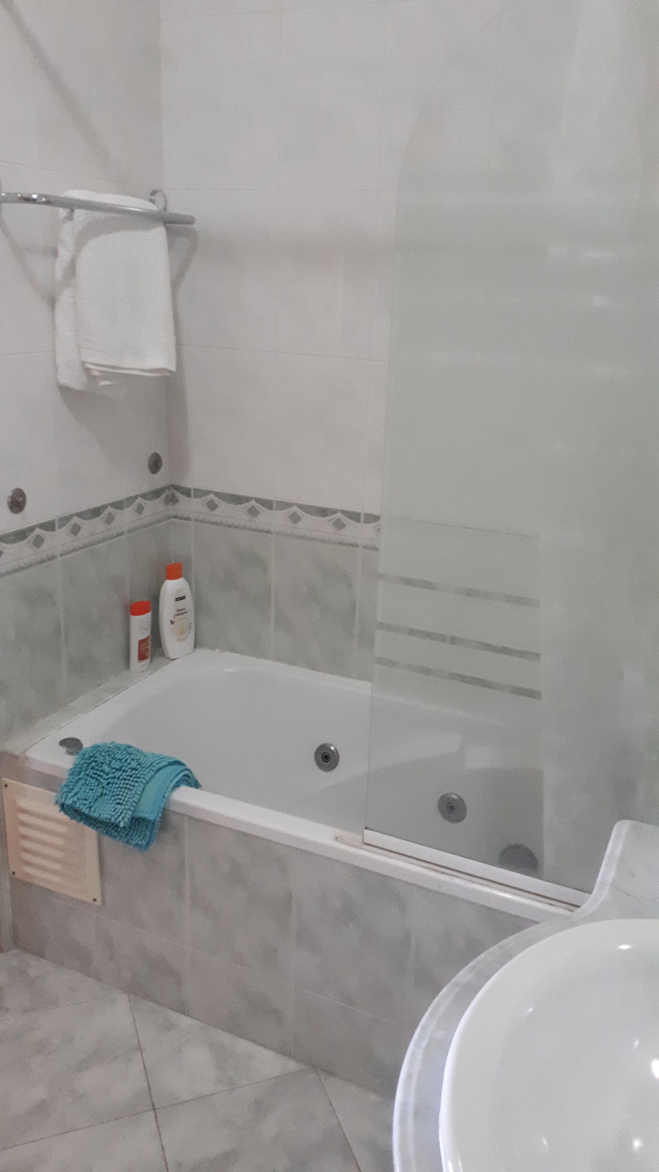 Combined shower/tub, hair dryer, bidet, towels