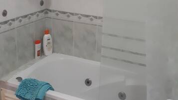 Combined shower/tub, hair dryer, bidet, towels