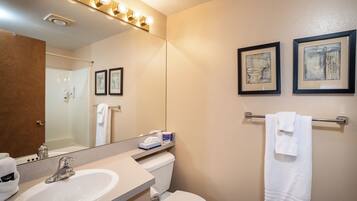 Combined shower/bathtub, hair dryer, towels, shampoo