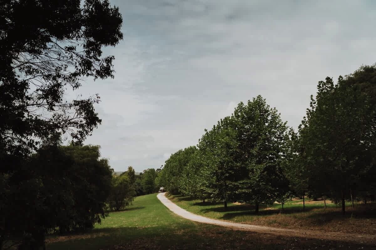 Un sentier qui traverse un parc, avec des arbres des deux côtés.