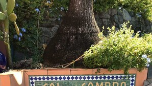 A tiled bench area with a sign that reads "SOLY SOMBRA". - Villa Sol y Sombra the Cuban spirit (Schoelcher)