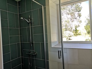 Chuveiro, secador de cabelo, sabonete, shampoo