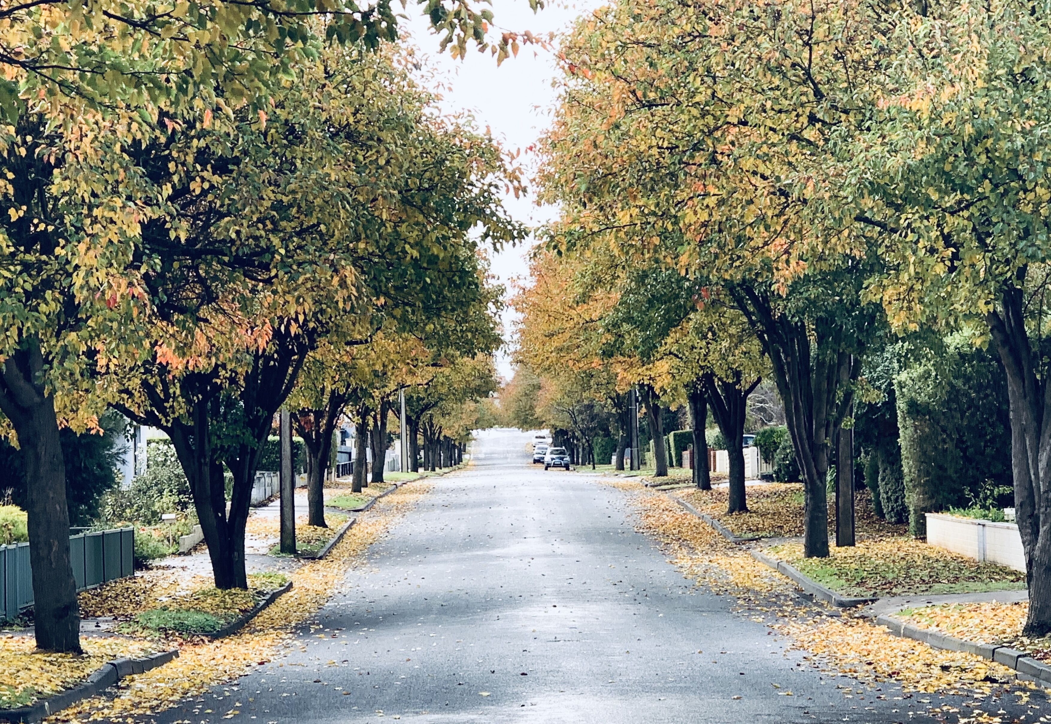 Nestled in a quiet, tree-lined Street, come and stay at 'A Place to call "Home".